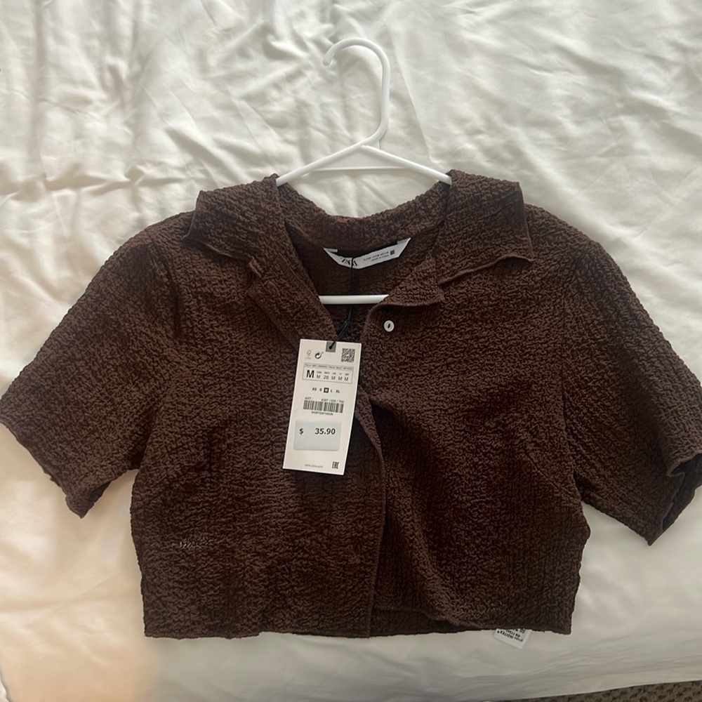 Zara Brown Crop Top